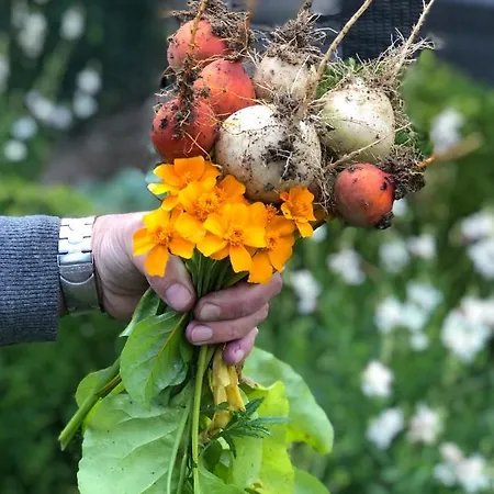 Loeffelmuehle Boutique