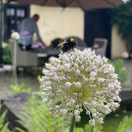 Bed & Breakfast Loeffelmuehle Boutique