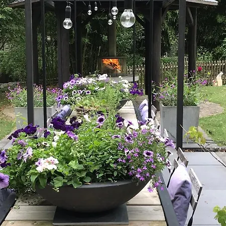 Loeffelmuehle Boutique 4* Pillig