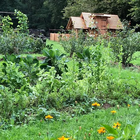 Loeffelmuehle Boutique Bed & Breakfast