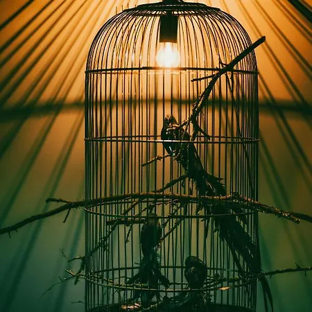 Loeffelmuehle Boutique Bed & Breakfast