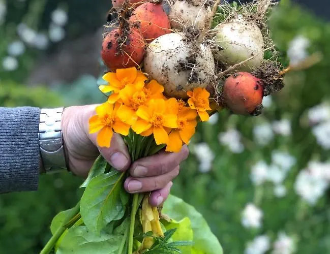 Loeffelmuehle Boutique