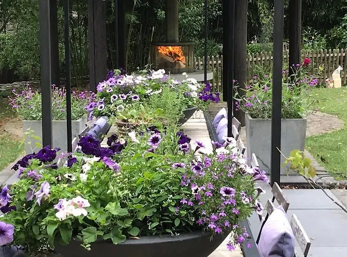 Loeffelmuehle Boutique 4* Pillig