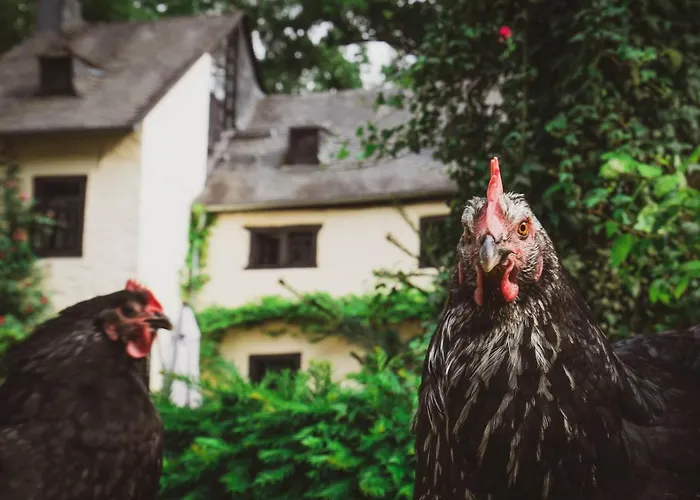 Loeffelmuehle Boutique Alojamento de Acomodação e Pequeno-almoço Pillig