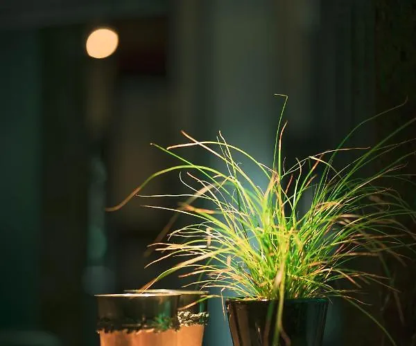 Loeffelmuehle Boutique 4*