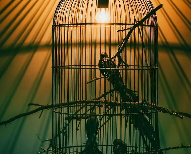 Loeffelmuehle Boutique Alojamento de Acomodação e Pequeno-almoço